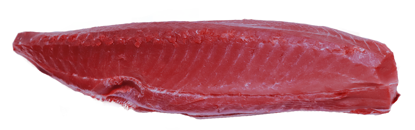 Tuna Whole Loin_Ocean_Fresh_pvt_Ltd_Sri_Lanka_Fish_exporters_to Europe_USA